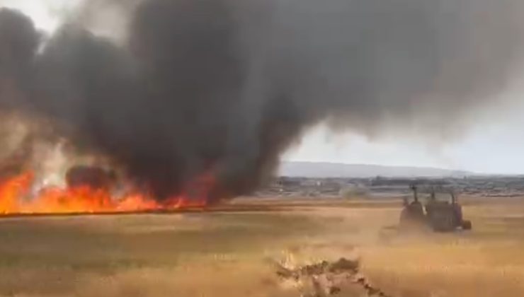 Diyarbakır’da 50 Dönüm Ekili Alan Yandı