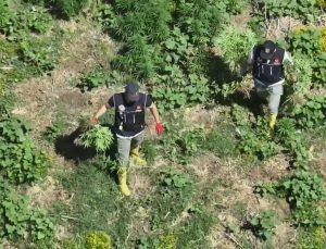 Bismil’de Bin 220 Adet Kök Keneviri Ele Geçirildi