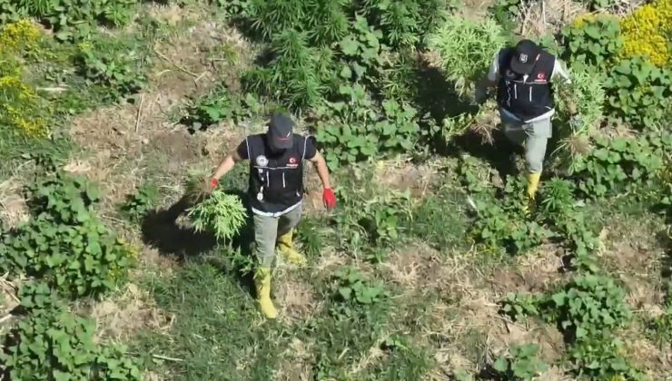 Bismil’de Bin 220 Adet Kök Keneviri Ele Geçirildi