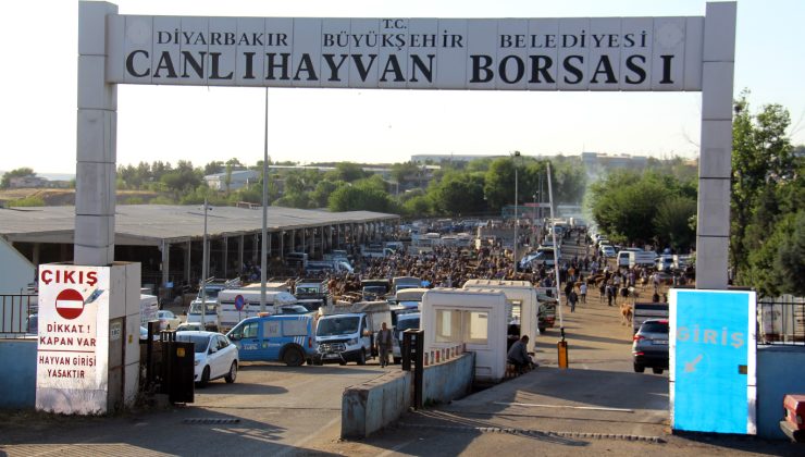 Kurbanlıklarda Bu Yıl Fiyat Aynı Ama Talep Yok