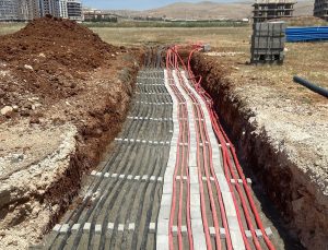 Dicle Elektrik: “Hizmet Bölgemizin Biyolojik Çeşitliliğini Koruyoruz”