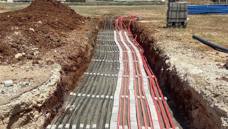 Dicle Elektrik: “Hizmet Bölgemizin Biyolojik Çeşitliliğini Koruyoruz”