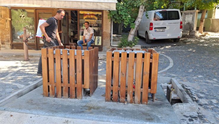 Beypazarı’nda haşereyle mücadele aralıksız sürüyor