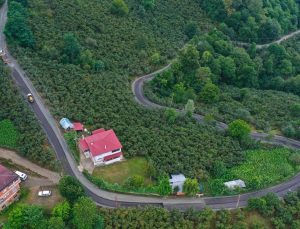 Ordu'nun 223 noktasında çalışmalar sürüyor
