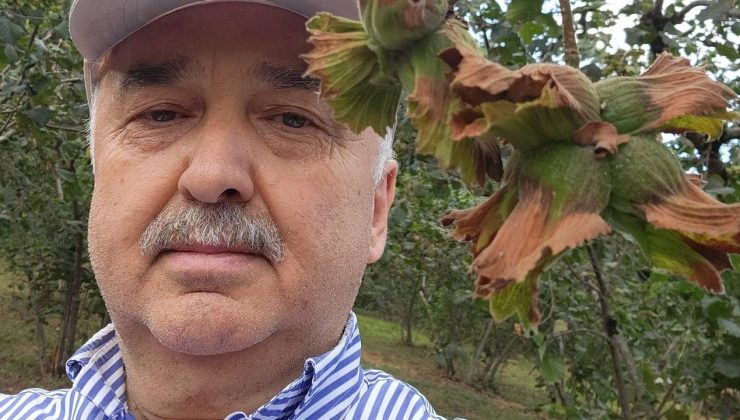 Giresun Milletvekili Ali Temür: Fındık emanet vermeyin