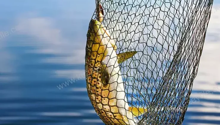 Balıkçılar 1 Eylül'ü heyecanla bekliyor: Yeni sezon umut vadediyor