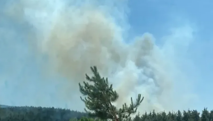 Çanakkale Kepez’de orman yangını