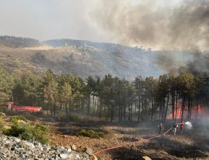 Makilik ve Otluk alanda çıkan yangın büyümeden söndürüldü