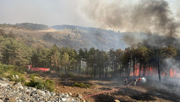 Makilik ve Otluk alanda çıkan yangın büyümeden söndürüldü