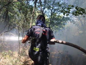 Kocaeli Büyükşehir, Karamürsel yangını için seferberlik ilan etti