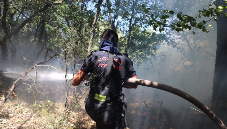 Kocaeli Büyükşehir, Karamürsel yangını için seferberlik ilan etti