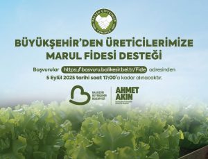Balıkesir Büyükşehirden çiftçilere marul fidesi desteği