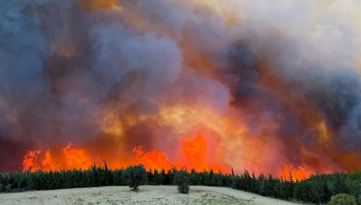 Yeşil vatan yanıyor: Çanakkale ve Manisa yangınları 2. gününde sürüyor