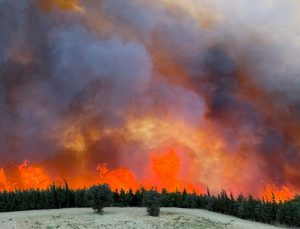 Gelibolu ve Eceabat’ta yangın alarmı: Tahliye sayısı artıyor