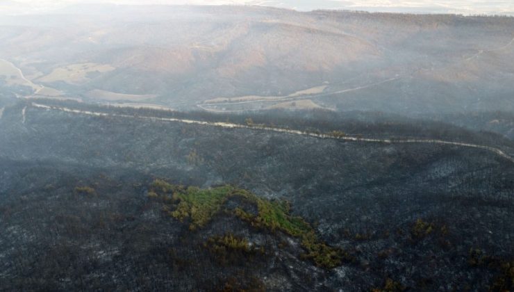 Gelibolu’daki yangından etkilenen köylerde hasar tespit çalışmaları sürüyor