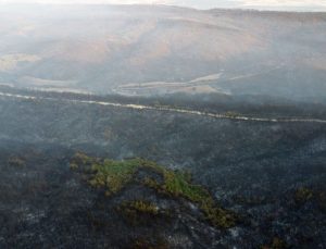 Gelibolu’daki orman yangını kontrol altında