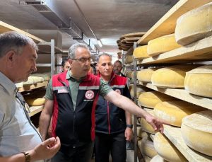 Boğatepe’de hayvancılık ve peynir yolculuğu: Geleneksel üretim yerinde incelendi