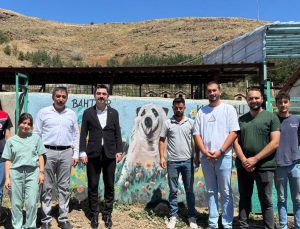 Susuz Kaymakamı Tutal, Hayvan Barınağında incelemelerde bulundu