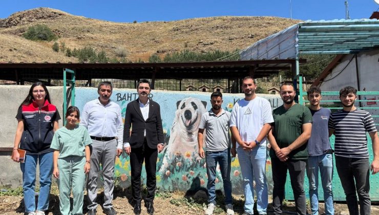 Susuz Kaymakamı Tutal, Hayvan Barınağında incelemelerde bulundu