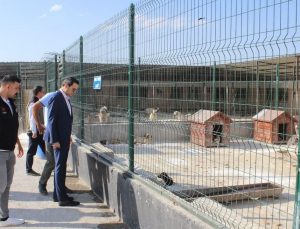 Selim Kaymakamı Mehmet Ali Semiz'den hayvan barınağına ziyaret