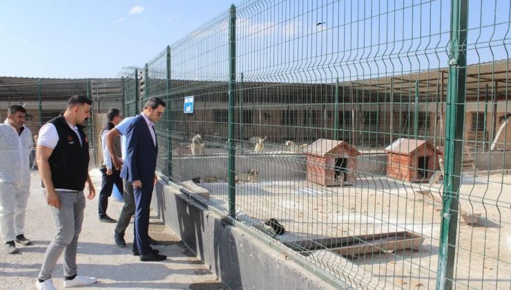 Selim Kaymakamı Mehmet Ali Semiz'den hayvan barınağına ziyaret