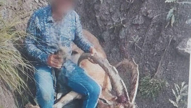 Kağızman’da yaban keçisi avlayan şahsa 658 bin TL ceza uygulandı