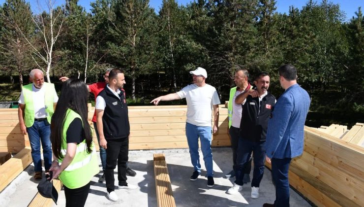 Kars Valisi Ziya Polat, Çıldır Gölü kıyısındaki kütük ev inşaatını inceledi