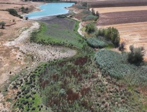 Edirne’de Yağcılı Göleti tamamen kurudu