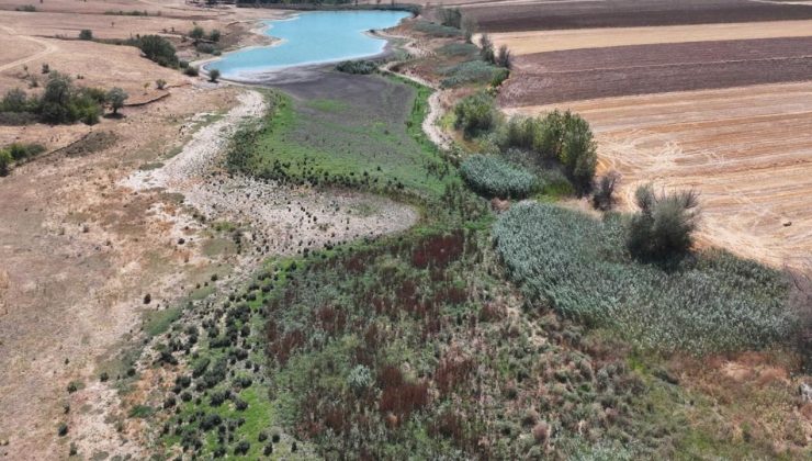Edirne’de Yağcılı Göleti tamamen kurudu