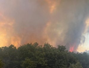 Sinop Durağan’daki orman yangını kontrol altına alındı