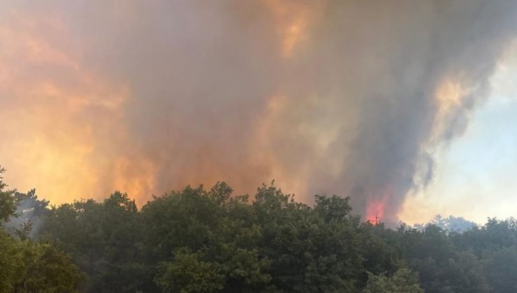 Sinop Durağan’daki orman yangını kontrol altına alındı