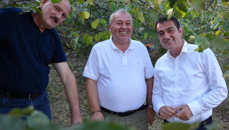Giresun Belediye BAşkanı Fuat Köse ve Milletvekili Cemal Enginyurt fındık bahçesinde