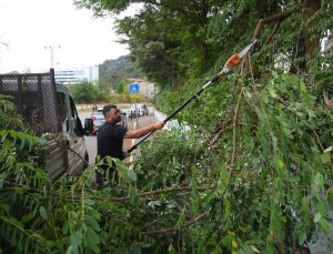 Giresun Belediyesi şehir estetiğine önem veriyor