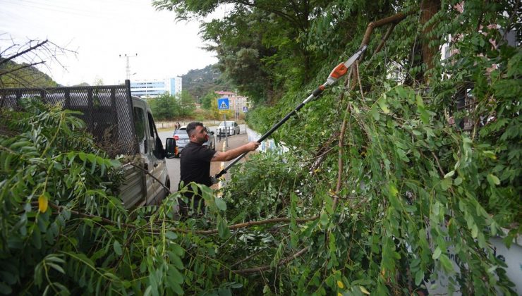 Giresun Belediyesi şehir estetiğine önem veriyor