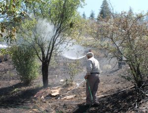Afyonkarahisar Çay'da çıkan yangın söndürüldü