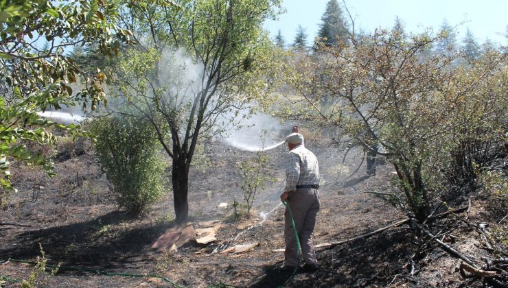 Afyonkarahisar Çay'da çıkan yangın söndürüldü