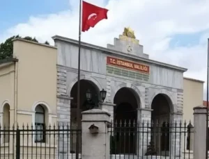 İstanbul Valiliği’nden sokak hayvanları için toplama kararı