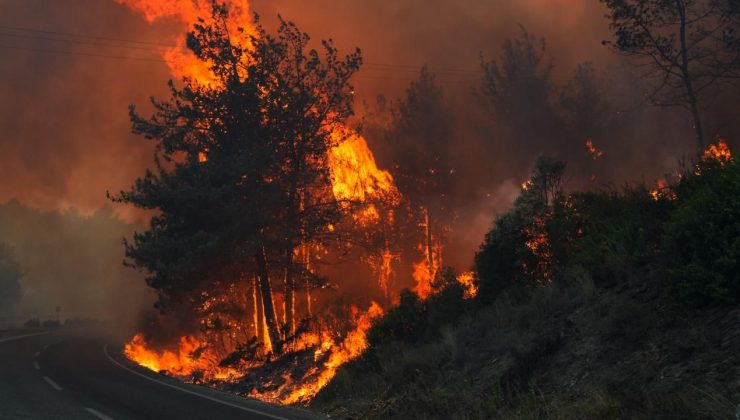 Çanakkale'de yangın büyüyor: Ev ve araçlar zarar gördü