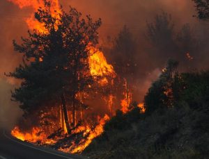 Çanakkale'de yangın büyüyor
