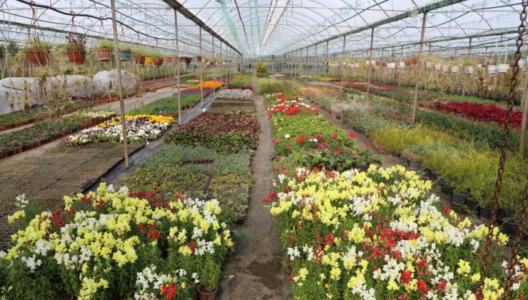 Kadın eliyle büyüyen üretim 23 Milyon TL’lik tasarruf getirdi