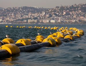 Çamur gidiyor, yeni canlılar geliyor