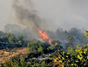 Küre Dağları Milli Parkı'nda orman yangını