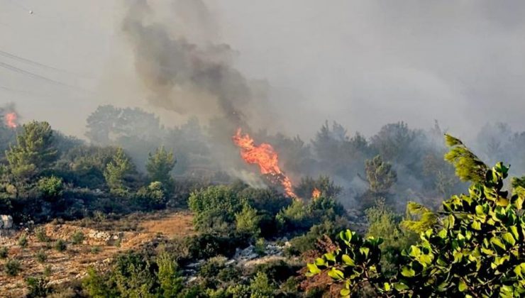 Dalaman’da otomobilden çıkan yangın ormana sıçradı: 3 dekar zarar gördü