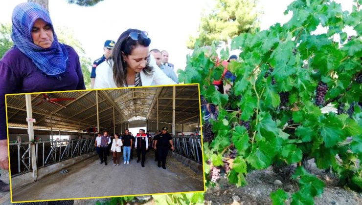 Kemer’de üreticiye destek mesajı: Tarım ve hayvancılık güçlenecek