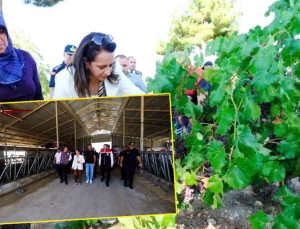 Kemer’de üreticiye destek mesajı: Tarım ve hayvancılık güçlenecek