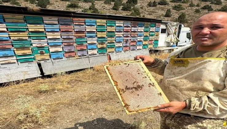 Toroslar’da gezici bal tırıyla doğal bal üretimi