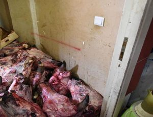 Antalya'da mide kaldırmaz görüntüler! Bir marketin deposunda çürük et skandalı