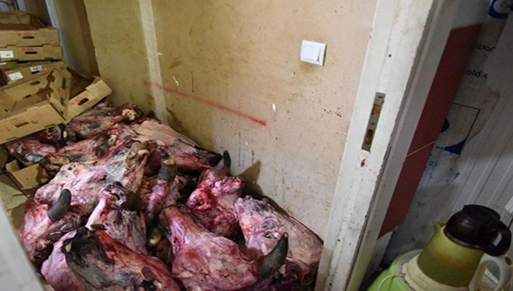 Antalya'da mide kaldırmaz görüntüler! Bir marketin deposunda çürük et skandalı