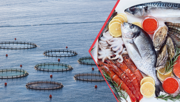 Doğu Karadeniz su ürünleri dünyaya ihraç ediliyor