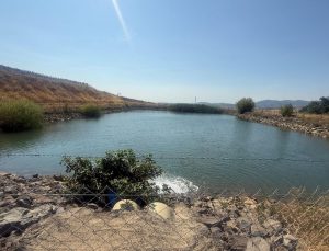 Tekirdağ'da Yazır Göleti kurudu: Su seviyesi yüzde 4’e geriledi